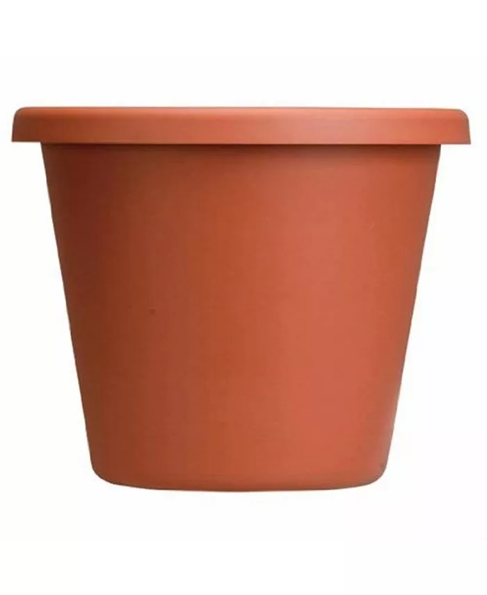 Akro Mils Plastic Classic Pot， Clay Color， 6-Inch - Intensery