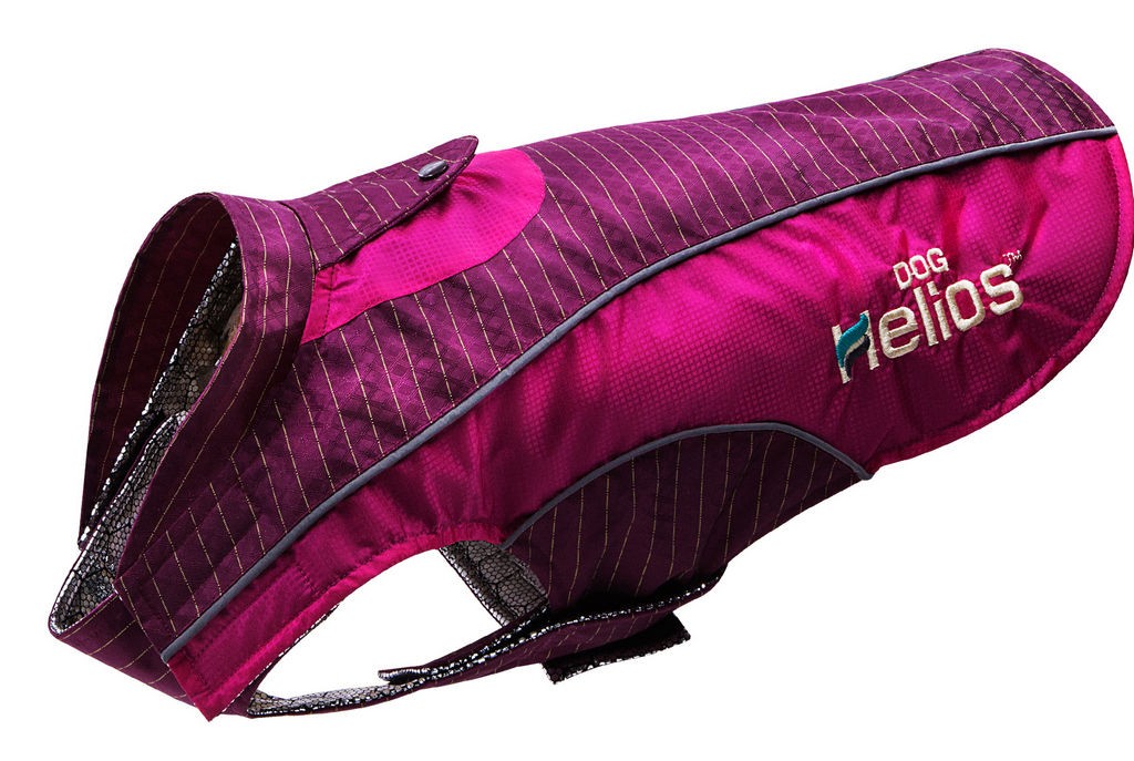 Dog Helios 'Reflecta-Bolt' Sporty Performance Tri-Velcro Waterproof Pet Dog Coat Jacket W/ Blackshark Technology in Hot Pink / Purple (X-Small) - Pet - Intensery