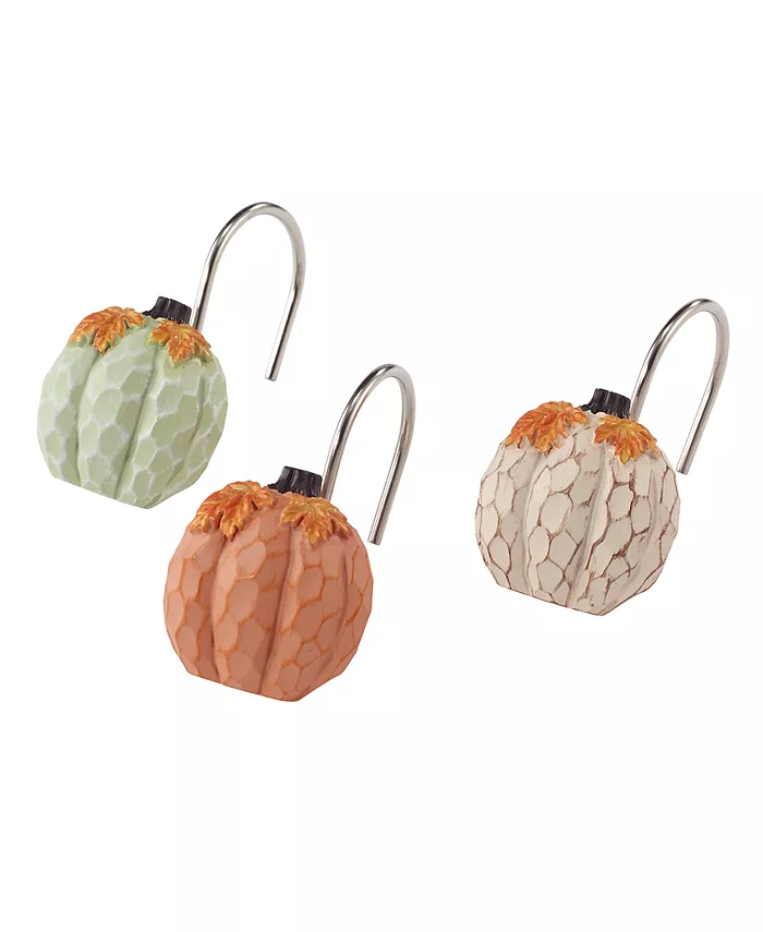 Avanti Grateful Patch Shower Hooks Set， 12 Piece - Intensery