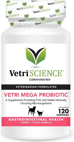 VetriScience Vetri Mega Probiotic Capsules Digestive Supplement for Cats and Dogs - Intensery