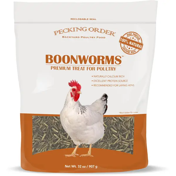 Pecking Order 32oz Boonworms - Intensery