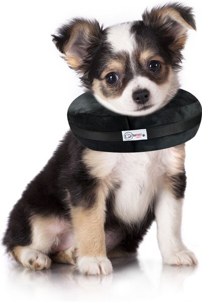 Comfurt Collar Dog and Cat Recovery Collar， Black - Intensery