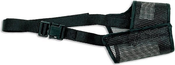 Coastal Pet Products Best Fit Adjustable Mesh Dog Muzzle， Black - Intensery