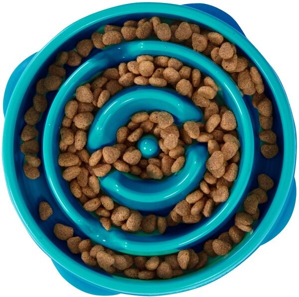Outward Hound Non-Skid Plastic Slow Feeder Interactive Dog Bowl - Intensery