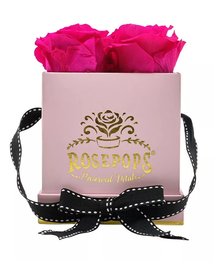 Rosepops Pop-Up Fourget Me Not Raspberry Punch Real Roses， Box of 4 - Intensery