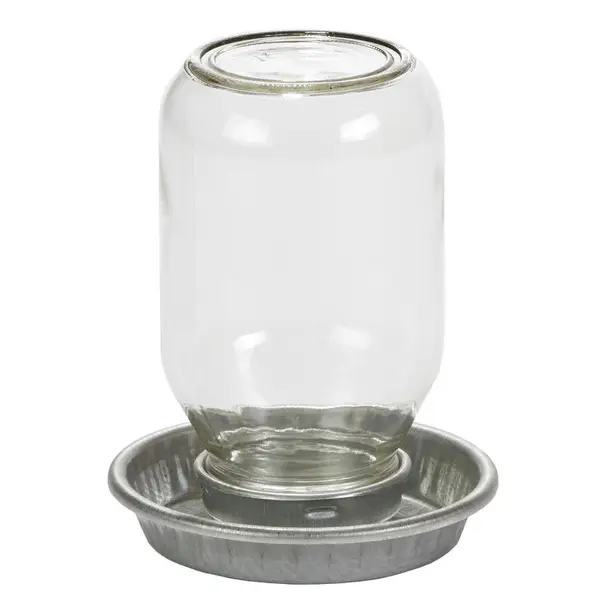 Little Giant Mason Jar Baby Chick Waterer - Intensery