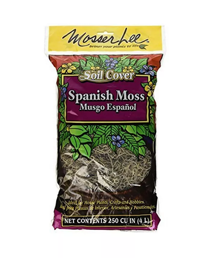 Mosser Lee  0560 Spanish Decorative Moss， 250-Cubic Inch - Intensery