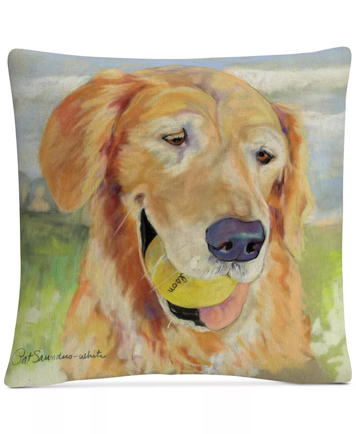 Baldwin Pat Saunders-White Gus Decorative Pillow， 16