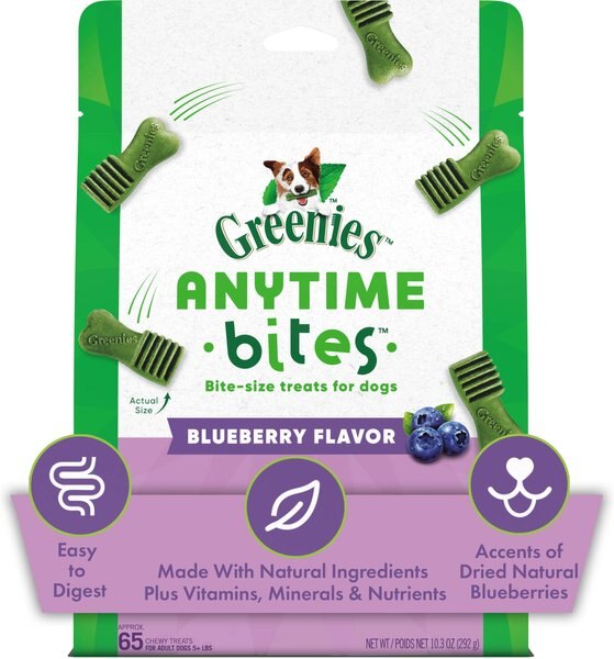 Greenies Anytime Bites Blueberry Flavor Soft and Chewy Dog Treats - Intensery