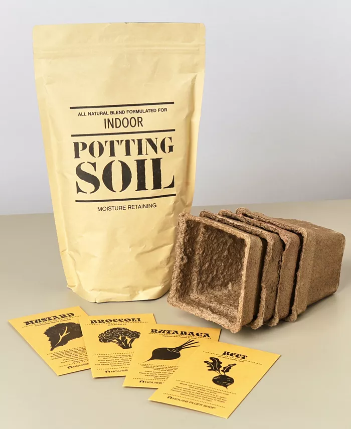 House Plant Shop Fall and Winter Seed Packet Bundle， Set of 4 - Intensery