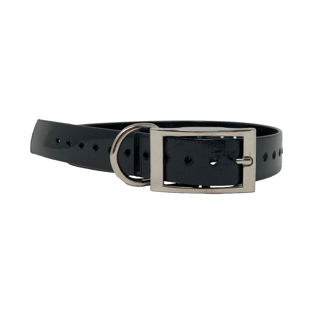 The Buzzard's Roost Replacement Collar Strap 1