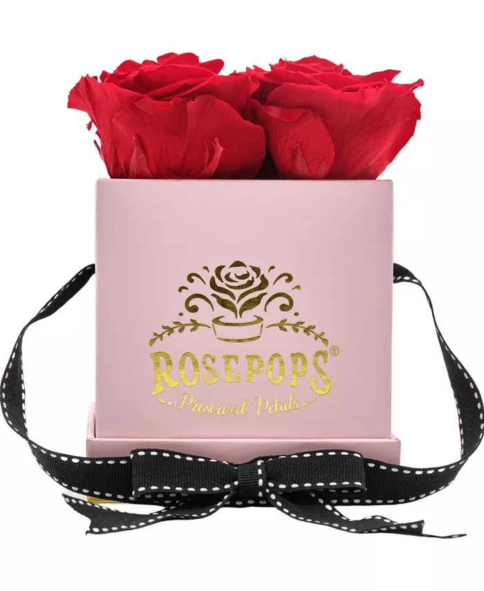 Rosepops Pop-Up Fourget Me Not Cherry Crush Real Roses， Box of 4 - Intensery