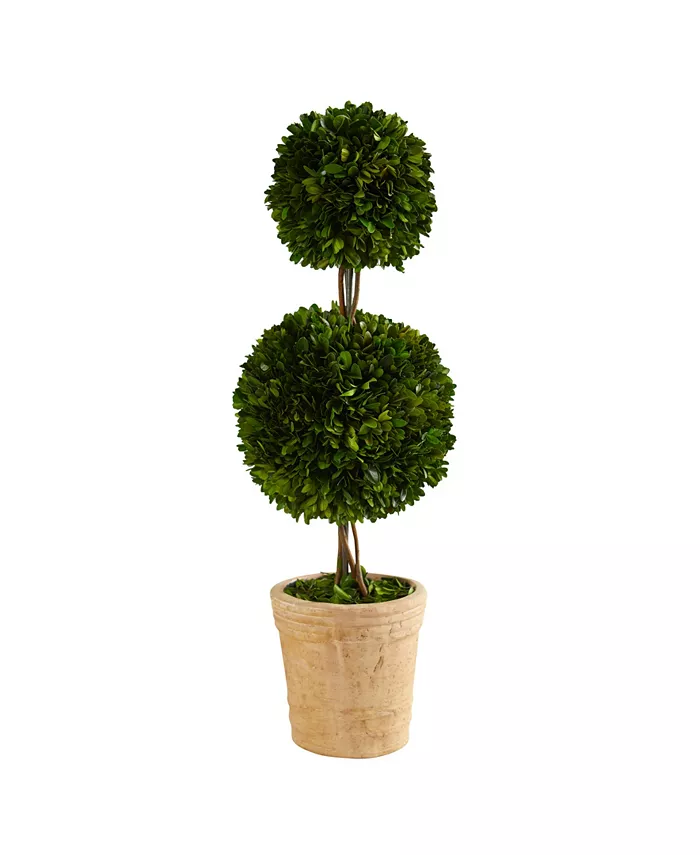 Nearly Natural 2.5ft. Preserved Boxwood Double Ball Topiary Tree in Decorative Planter - Intensery