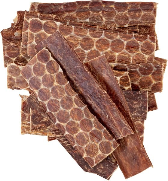 HOTSPOT PETS Flat Beef Gullet Dog Chew Treats， 6-in - Intensery