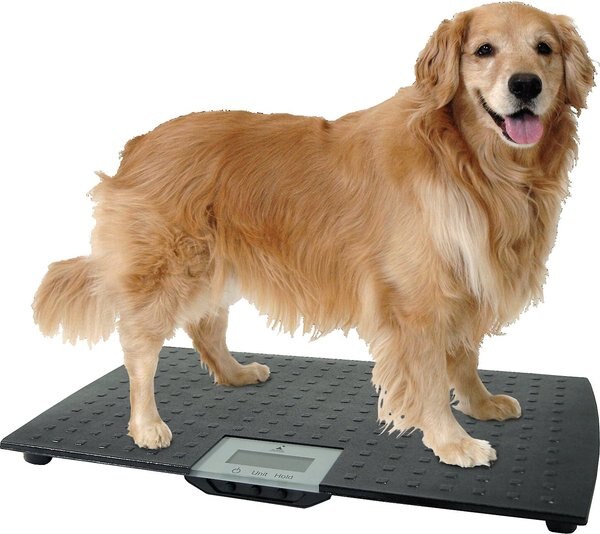 Redmon Precision Digital Pet Scale - Intensery