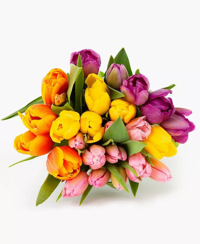 BloomsyBox A Tulip For Everyone Fresh Flower Bouquet - Intensery