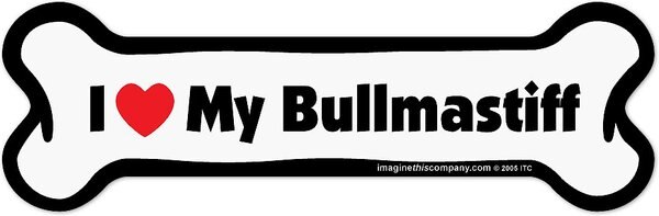Imagine This Company Bone Magnet - Intensery