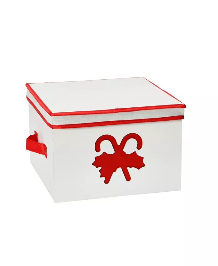 Household Essentials Holiday Box， Medium Red Candy Cane - Intensery