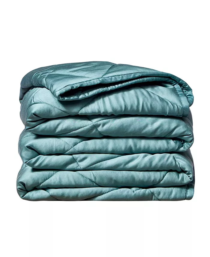 randeacutejuve Rayon from Bamboo Weighted Throw Blanket， 15lb - Intensery