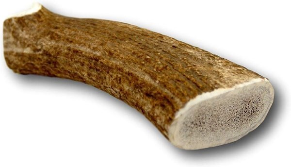 Top Dog Chews 10-12\ - Intensery