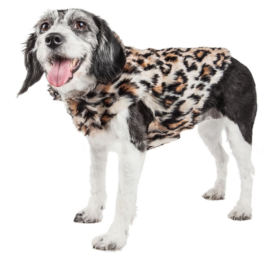 Pet Life Luxe 'Lab-Pard' Dazzling Leopard Patterned Mink Fur Dog Coat Jacket in Brown / Black (X-small) - Pet Life 40LPXS - Intensery