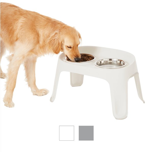 Frisco Elevated Dog Diner - Intensery