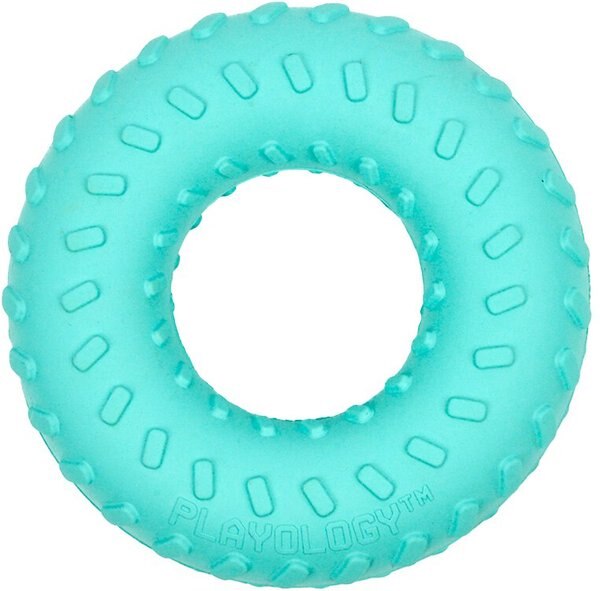 Playology Scented Dual Layer Ring Dog Toy - Intensery