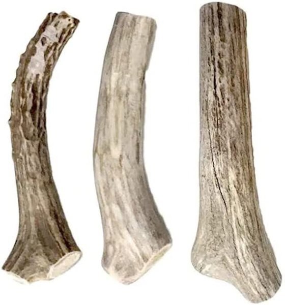 HOTSPOT PETS 5-8-inch All Natural Small Whole Deer Antler Chews Dog Treats - Intensery