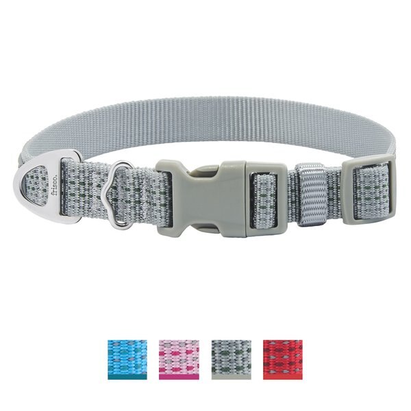 Frisco Outdoor Ultra Reflective Nylon Dog Collar - Intensery
