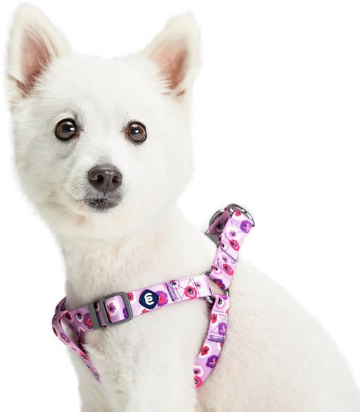 Blueberry Pet Essentials Spring Scent Inspired Garden Floral Step-in Dog Harness - Intensery