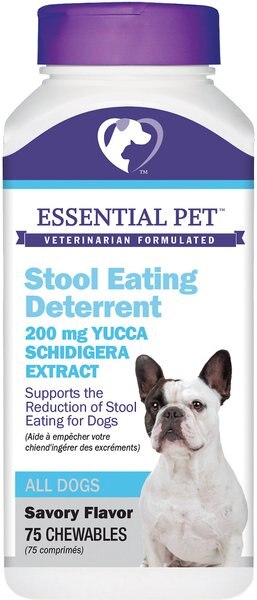 21st Century Essential Pet Coprophagia Deterrence Dog Supplement - Intensery