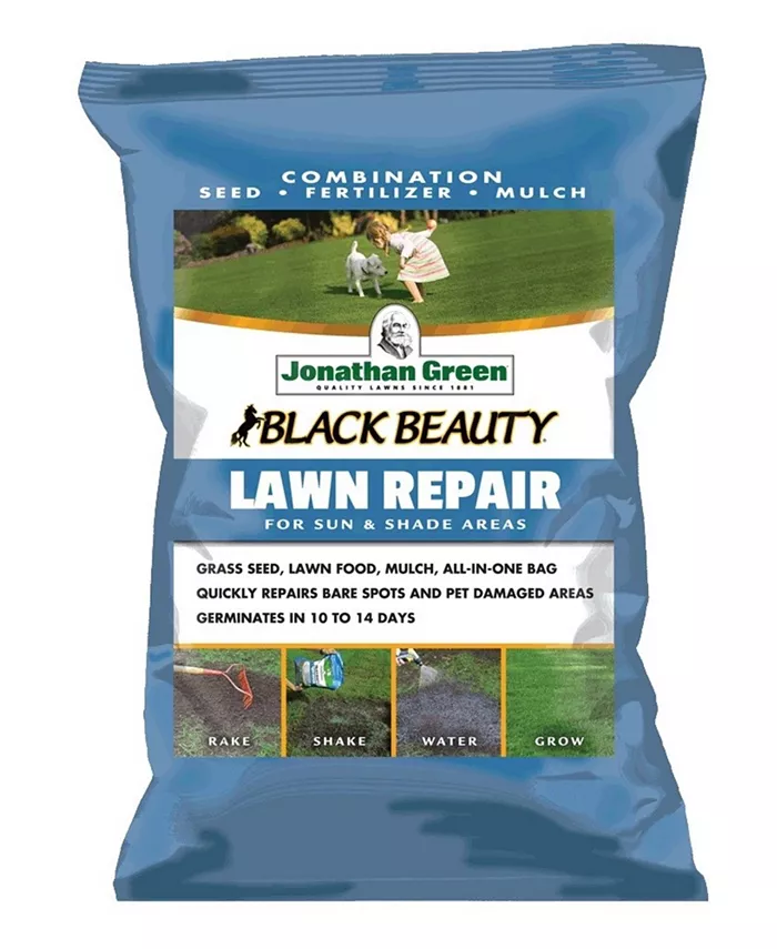 Jonathan Green Black Beauty Lawn Repair for Sun Shade， 13.5lb bag - Intensery