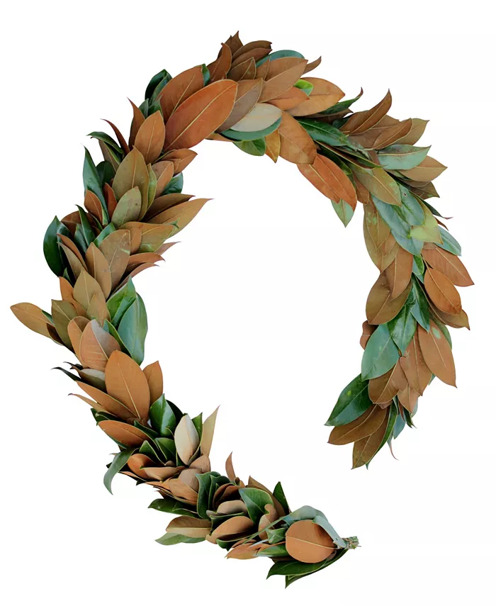 Magnolia Supply Co Fresh Magnolia Garland， 6' - Intensery