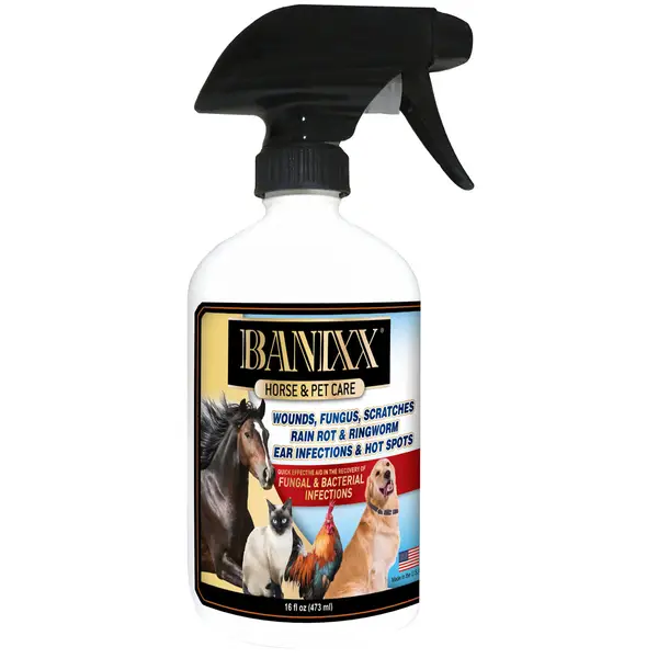 Banixx Wound and Hoof Care for Horses Spray - Intensery