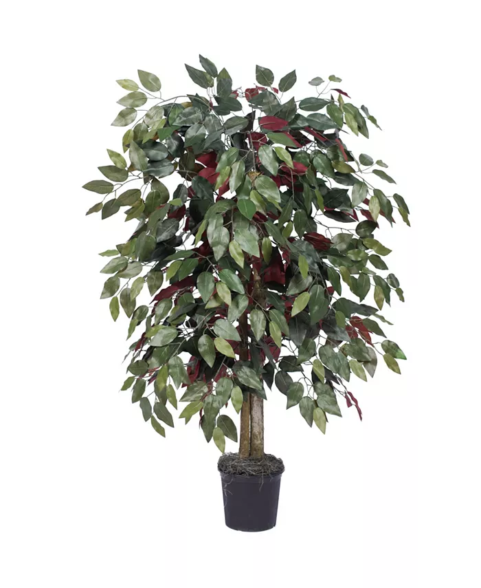 Vickerman 4' Artificial Capensia Bush， Black Plastic Pot - Intensery