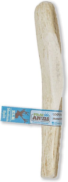 Prairie Dog Split Elk Antler Dog Chews， 6 - 7.5 inch - Intensery