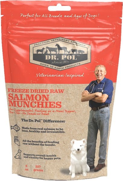 Dr. Pol Salmon Munchies Grain-Free Freeze-Dried Raw Dog Treats - Intensery