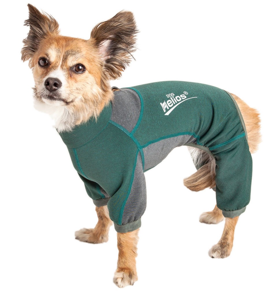 Dog Helios 'Rufflex' Mediumweight 4-Way-Stretch Breathable Full Bodied Performance Dog Warmup Track Suit in Green And Grey (X-small) - Pet Life YGHL8G - Intensery