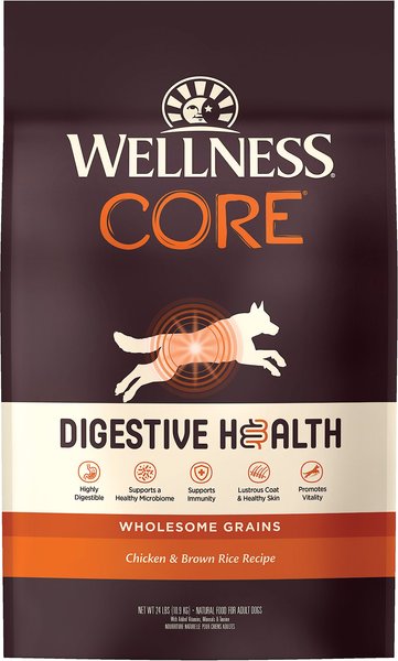 Wellness CORE Digestive Health Wholesome Grains Chicken and Brown Rice Recipe Dry Dog Food - Intensery