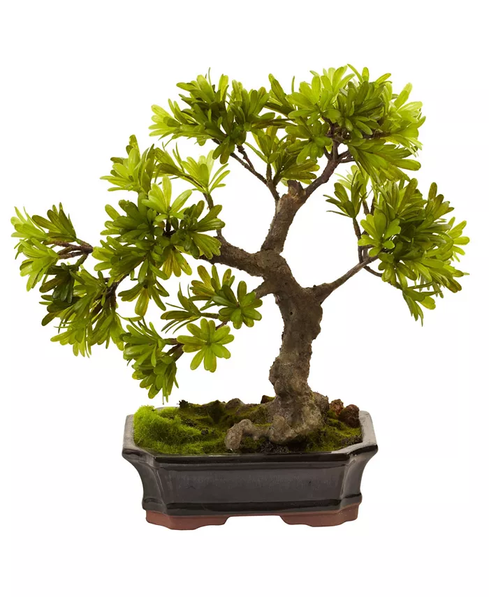 Nearly Natural Podocarpus w Mossed Bonsai Planter - Intensery