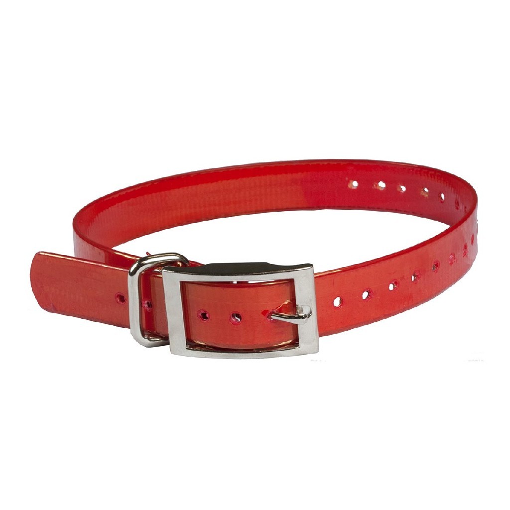 The Buzzard's Roost Replacement Collar Strap 1