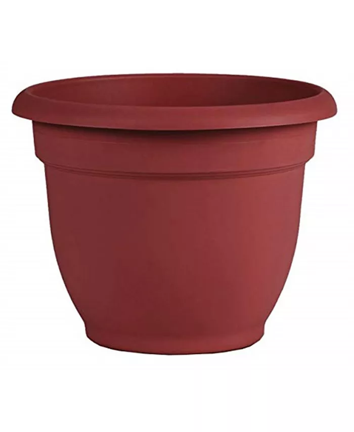 Bloem AP0613 Ariana Planter with Self-Watering Disk， Burnt Red - 6 inches - Intensery