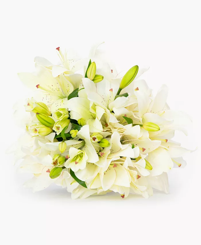 BloomsyBox Casablanca White Lilies Fresh Flower Bouquet - Intensery