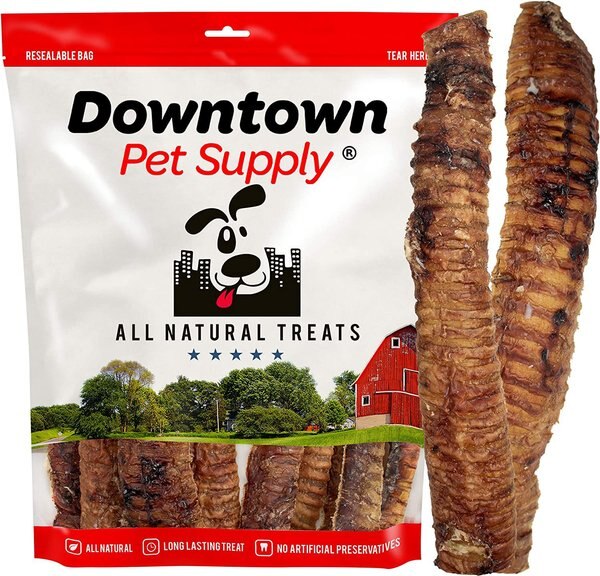 Downtown Pet Supply USA Beef Trachea Strips 12-in Dog Treats - Intensery