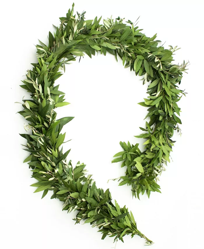 Magnolia Supply Co Fresh Bay Leaf and Olive Holiday Garland， 6' - Intensery