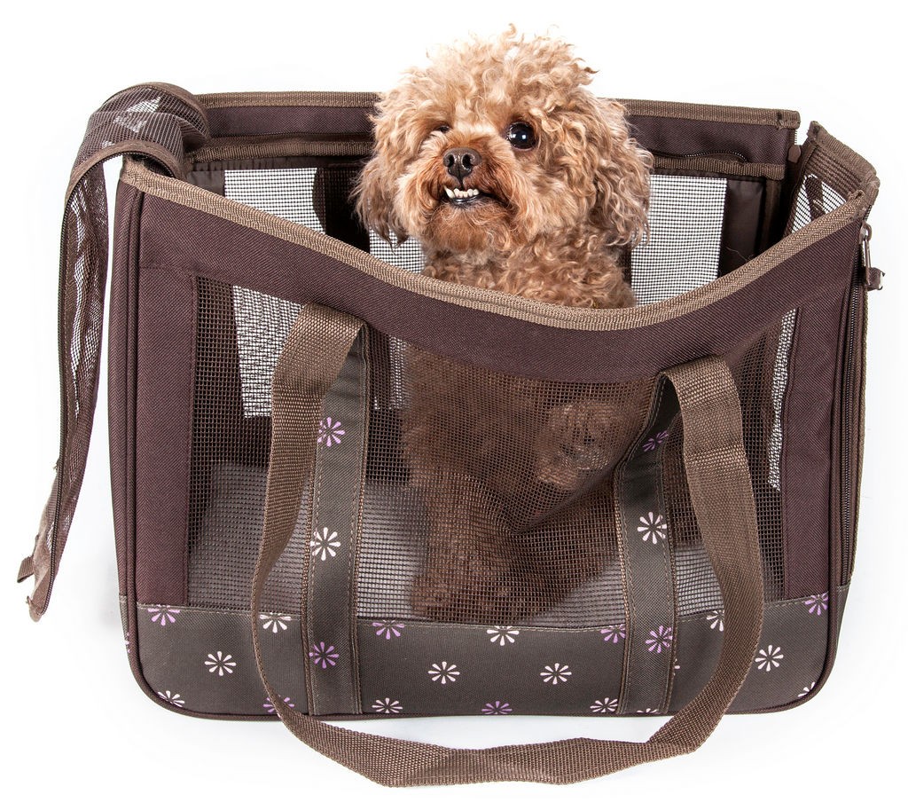 Pet Life Surround View' Posh Fashion Pet Carrier in Cocoa Brown (One Size) - Pet Life B25BRMD - Intensery