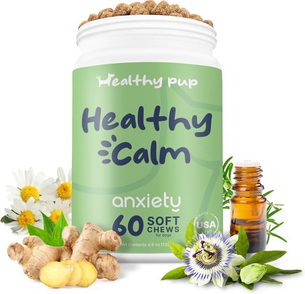 Healthy Pup Anxiety Soft Chews Calming Supplement for Dogs， 60 Count - Intensery
