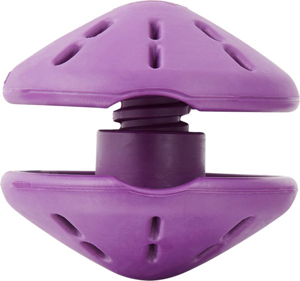 PetSafe Busy Buddy Twist 'n Treat Treat Dispenser Dog Toy - Intensery