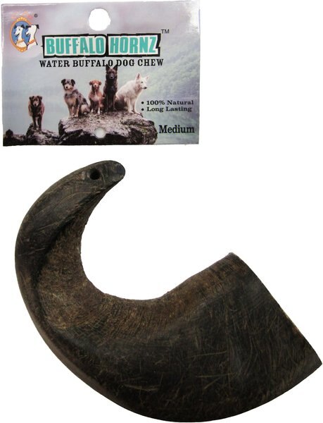 QT Dog Buffalo Hornz Water Buffalo Horn Dog Treat - Intensery