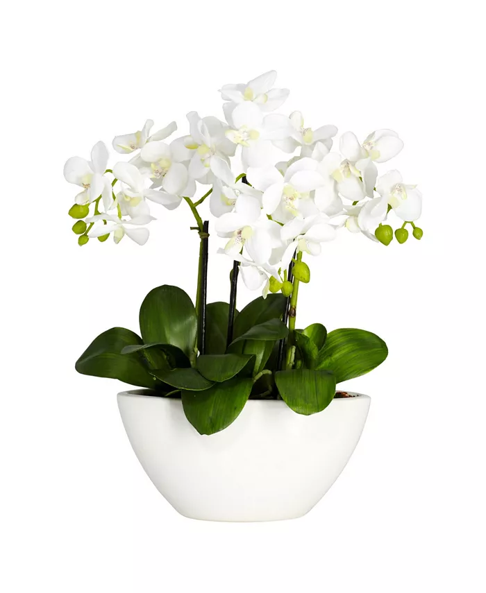 Nearly Natural Phalaenopsis Flower Arrangement - Intensery